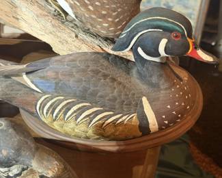 duck decoy