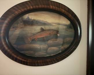 3d wall fish art