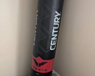 Century stand alone boxing bag with gloves