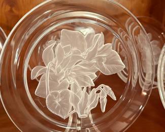 Hoya Crystal Plates