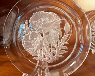 Hoya Crystal Plates