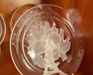 Hoya Crystal Plates