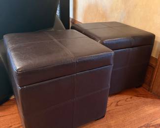 Two Ottomans/Storage