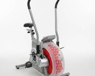 Schwinn BioDyne Infinite Upright Exercise Bike