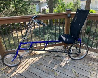 Sun recumbent bike