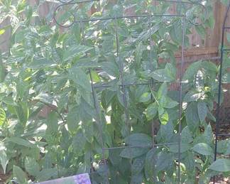 Decorative Wrought Iron Garden Trellis