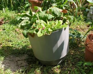 Modernist Tapered Resin Planter
