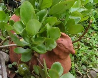 Terracotta Hen Planter