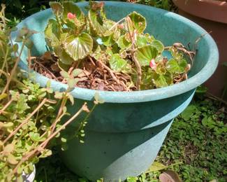 Resin Garden Planter