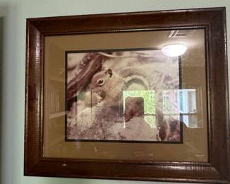 Signed Chipmunk Wildlife Photograph by Jeremy Sustare