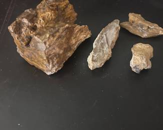 c Petrified Wood