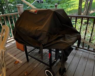 Weber Gas Grill