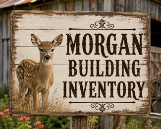 THE FOLLOWING ITEMS ARE IN THE MORGAN BUILDING…..