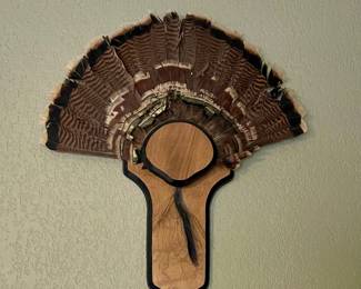 MOUNTED TURKEY FEATHERS
