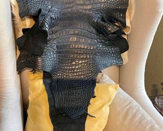 ALLIGATOR HIDE