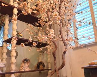 Large silk cherry blossem tree featuring graceful twisted wooden trunk set in floral painted ceramic pot with moss covering