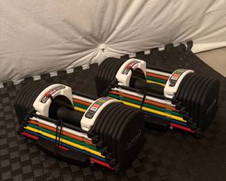 Lot #5- PowerBlock Adjustable Dumbbell Pair