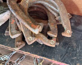 Large Horseshoes