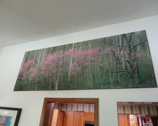 Very large Panoramic Wall Art