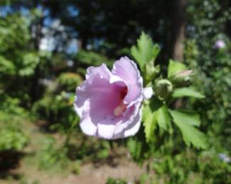 Don't forget to stop and smell the flowers (and come to our sale)