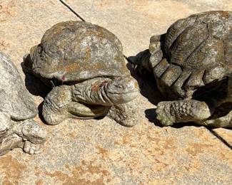 Concrete lawn turtles