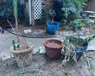 Ceramic and terra-cotta planters