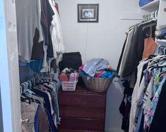 4 Closets of Women's Clothing small to 3XL), Shoes and Scarves