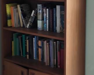 Narrow + Tall Danish Teak Bookcase With Lower Doors