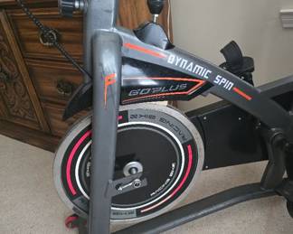Dynamic Spin Exercise Bike