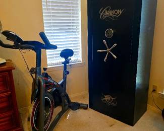 Cannon Gun Safe