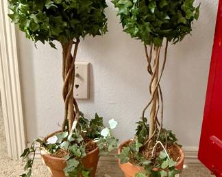 Pair of ivy topiaries