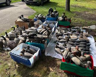 Duck Decoys of all kinds