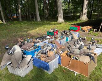 Duck Decoys of all kinds