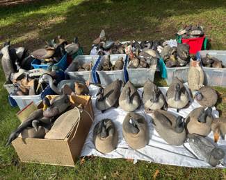Duck Decoys of all kinds