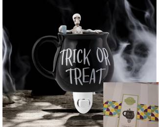 $10 - Friday! Mini warmers 