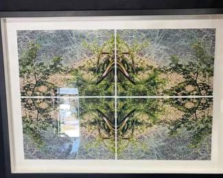 OM199Signed Framed Artwork
