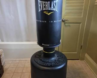 Everlast Powercore Free Standing Heavy Bag