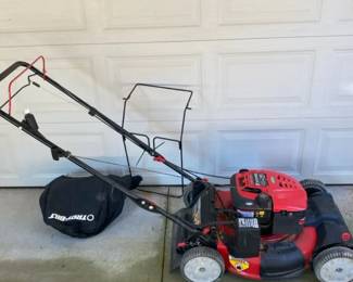 TroyBilt 21 Selfpropelled Mower Briggs Stratton