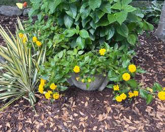 Garden Pots