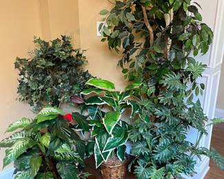 Artificial Plants