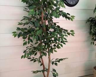 Tall Artificial Ficus Tree in Woven Basket Planter