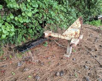 Rock/root rake