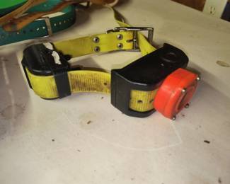 Radio collars