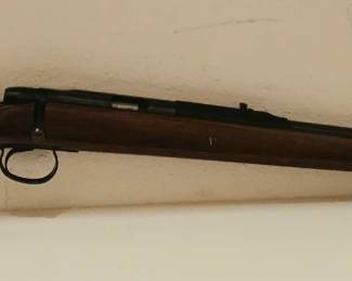 Remington 582 .22