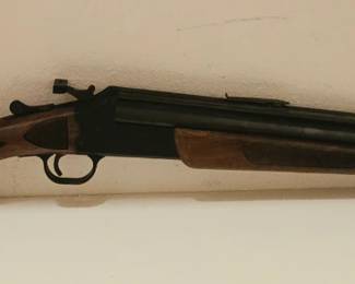 Savage 24J-DL 22 MAG/20 GUAGE