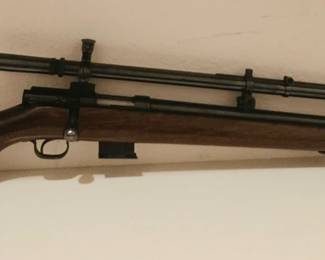Winchester 43 218BeeLyman Junior Targetspot