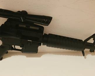 BUSHMASTER XM15-E2S 223/5.56 1-6x Reticle Intensified scope