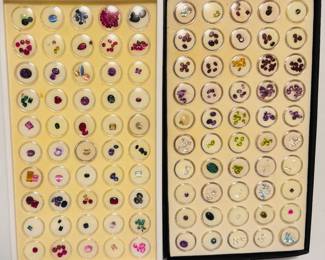 Gem Stones