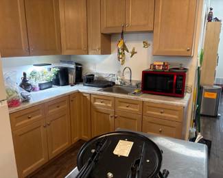 LE053 Classroom kitchenette with wood cabinets sink dish rack and redblack microwave