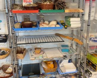 LE036 Natural science shelf with birdnature specimens shells baskets and lesson materials